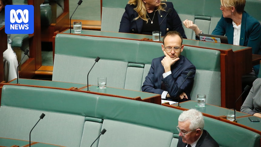 Bandt's Defeat: Greens Lose Their Leader