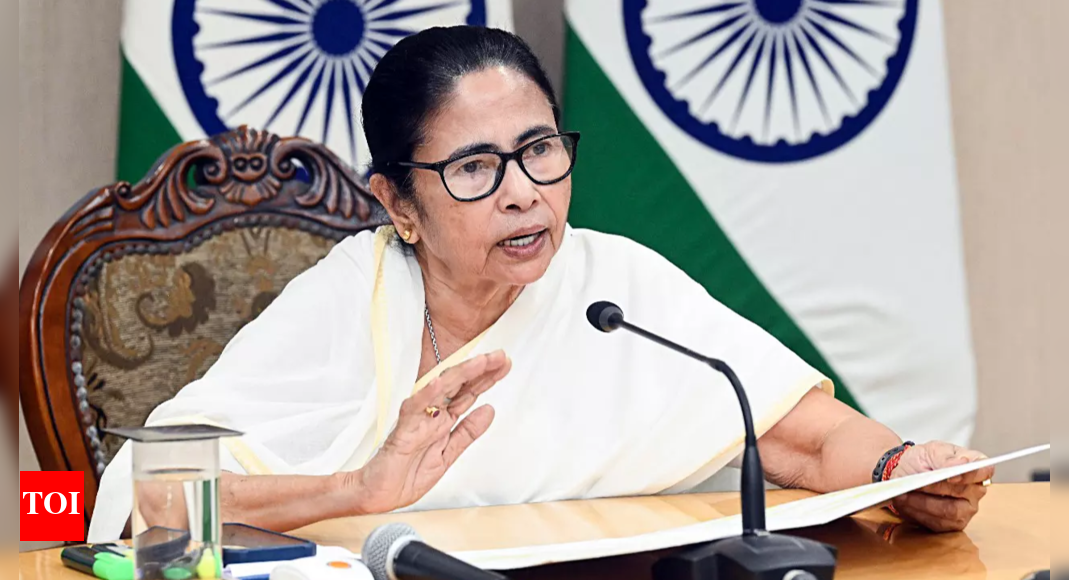 BSF Action Sparks Murshidabad Violence: Mamata's Response