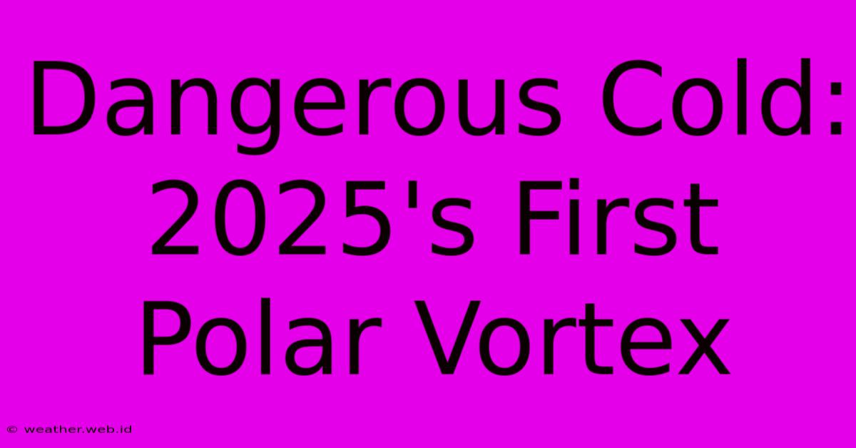 Dangerous Cold: 2025's First Polar Vortex