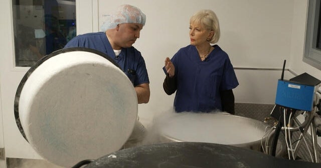 Egg Freezing: Options, Costs, & Concerns