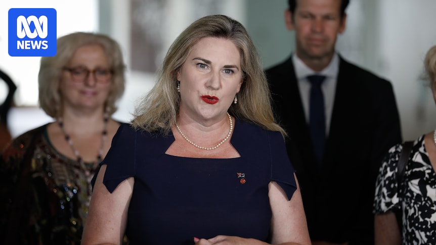 Liberal MP Attacks Taylor's Leadership Bid