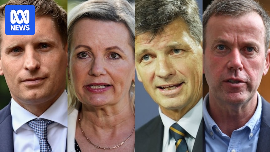 Liberals Hunt New Leader: Election Too Close