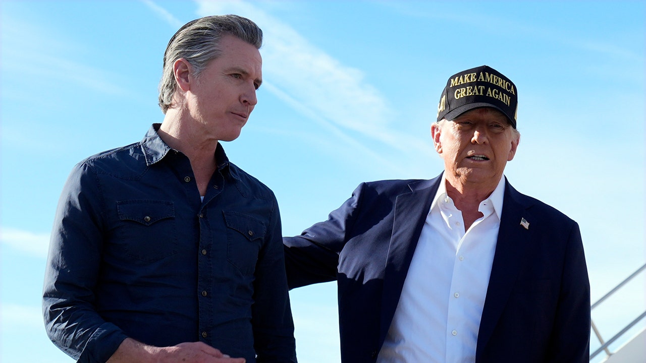 Trump Vs Newsom 2028: Wildfire Showdown